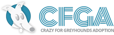 Crazy For Greyhounds Adoption
